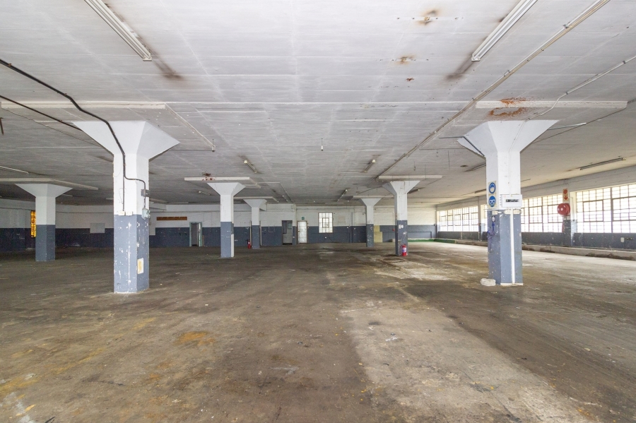 To Let commercial Property for Rent in Korsten Eastern Cape